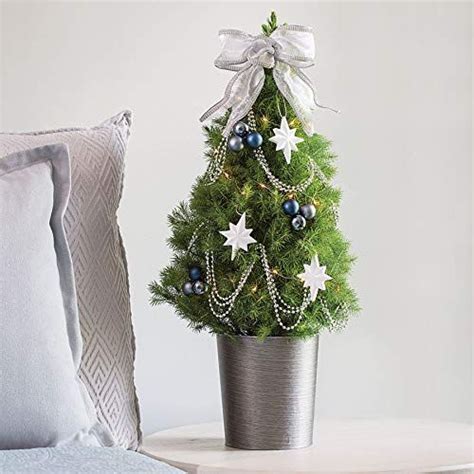 Give yourself some room to move this holiday season with these adorable mini trees ahead. Jackson and Perkins Starry Night Tree Live Decorated ...