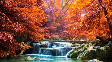 Landscape View Of Colorful Autumn Leafed Trees And Waterfall Between