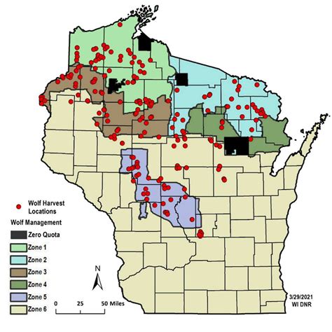 How Wisconsins Wolf Hunt Quotas May Prompt Federal Review