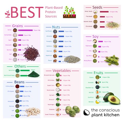 Vegan Protein Sources Chart Provides Grams Of Protein Per 100g