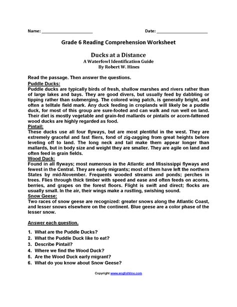 6th Grade Reading Comprehension Questions