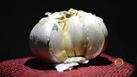 We did not find results for: Manfaat Jus Bawang Putih Bagi Kesehatan, Hasilnya Ajaib ...