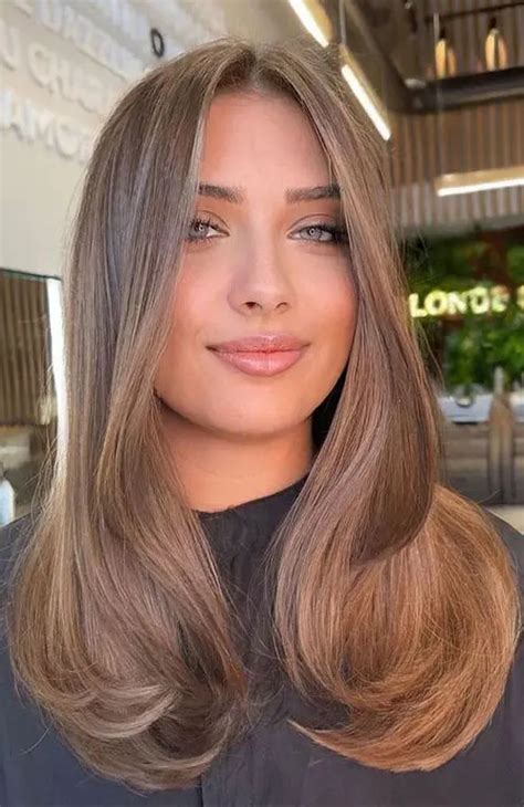 27 Trendy And Soft Mousy Brown Hair Ideas Styleoholic