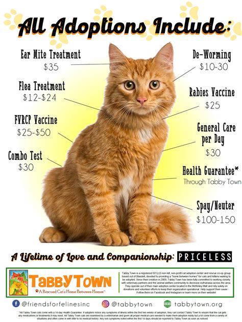 Tabby Town | Adoption Fees