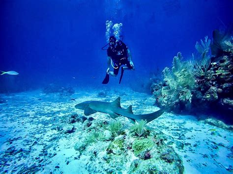 Blue Hole Diving Belize