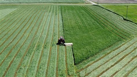 Making Hay While the Sun Shines - YouTube