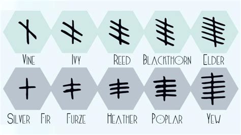 Choose One Of These Ancient Celtic Ogham Symbols To Reveal The 3