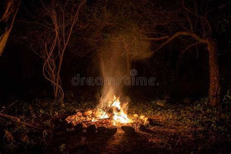 Campfire Surrounded By Greenery And Rocks With A River On The