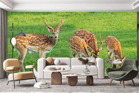 Fallow Deer Wall Mural Wallpaper