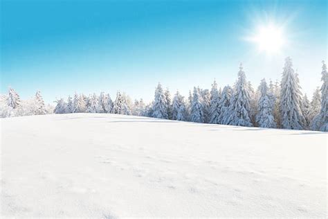 Royalty Free Snowy Field Pictures Images And Stock Photos