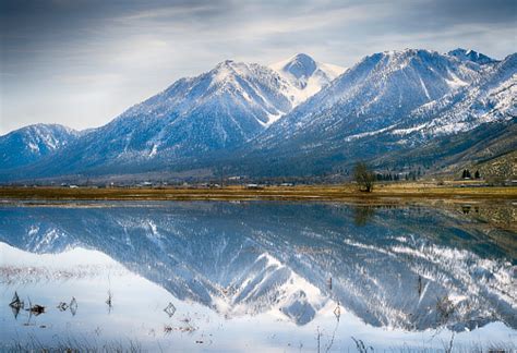 Snow Covered Mountains With Reflections In A Flooded Field Stock Photo