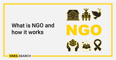 ngo activities encourage citizen empowerment globally