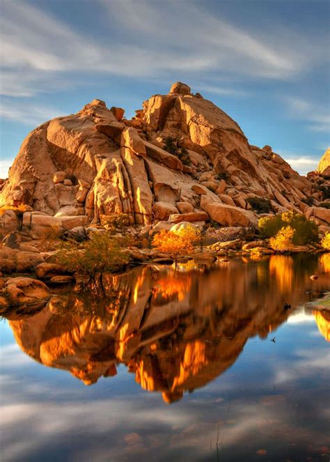 Joshua Tree Camping Guide 12 Campgrounds 10 Hikes 8 Attractions