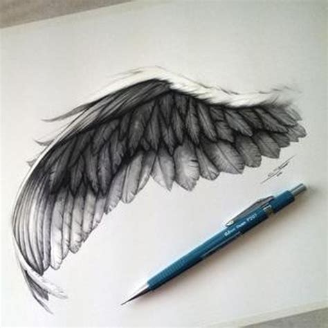 Wing Drawing Christopher Straver On Patreon Wings Drawing Angel
