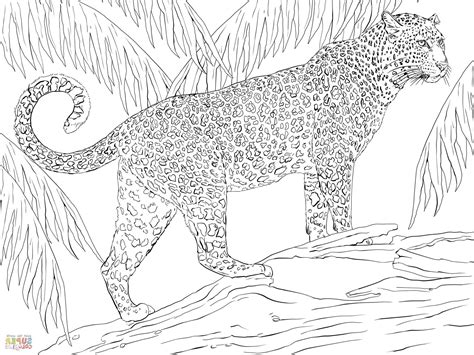 Maybe you would like to learn more about one of these? Jaguar Coloring Pages | Animal coloring pages, Jaguar ...