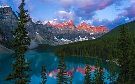 Wallpaper Lake Mountains Forest Trees Canada 1920x1200 Hd Picture
