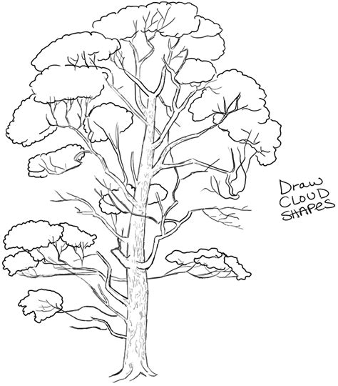 Go back over your tree with a sharp, dark pencil, such as a mechanical hb pencil, and draw over each branch so they really stand out. How to Draw Trees - Drawing Realistic Trees in Simple ...