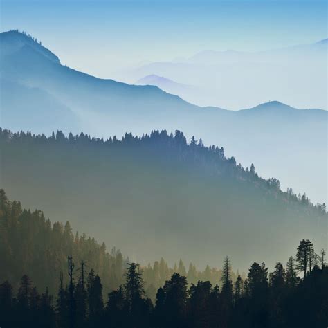 Foggy Mountains Forest Landscape Ipad Wallpapers Free Download