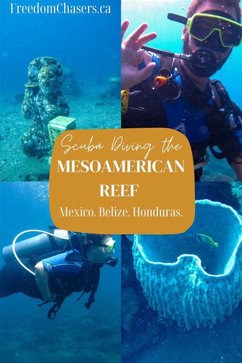 Complete Guide To Scuba Diving The Mesoamerican Reef Fc World Travel