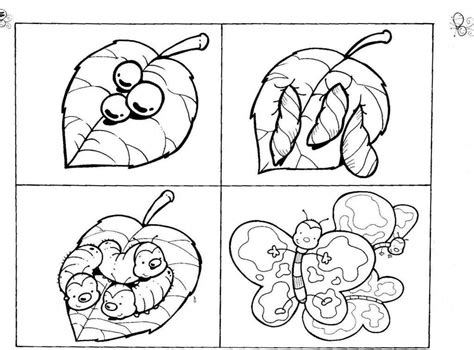 Butterfly Life Cycle Coloring Page - Coloring Home