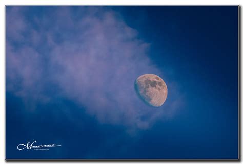 July 2020 3630ngm1939 1 222 Evening Moonrise A Few N Flickr