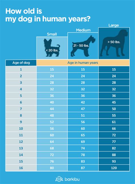 Animal Life Span Chart