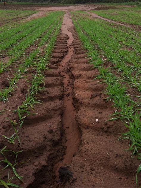 Unsustainable Soil Erosion In Parts Of Uk Science Codex