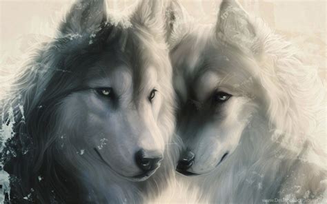 Love Wolves Wallpapers On Wallpaperdog