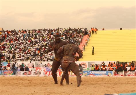 A Nation Gripped Inside The World Of Traditional Senegalese Wrestling