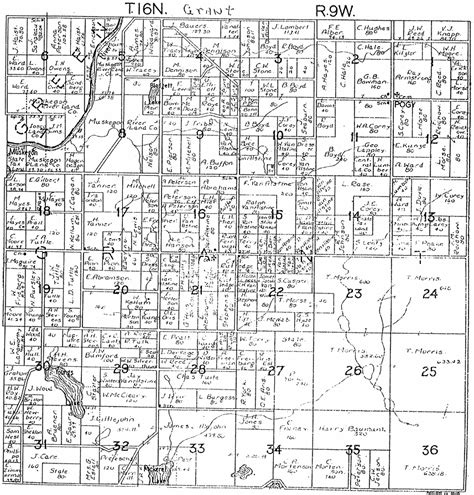 1918 Grant Township Mecosta County Michigan Plat Map