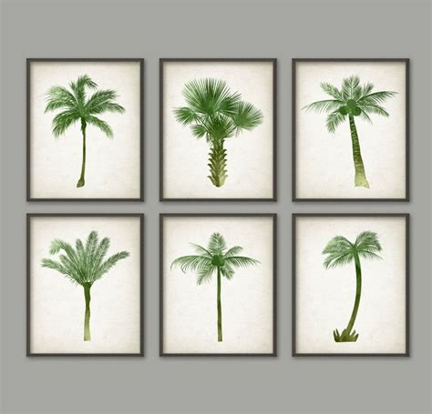 Palm Tree Botanical Wall Art Print Set Of 6 By Quantumprints