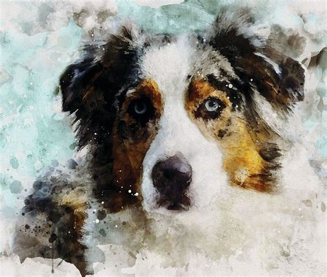 Watercolor Dog Portrait Digital Watercolor Watercolor Design Aussie