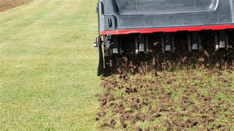 Heres The Best Time To Aerate Your Lawn In Spring Toms Guide