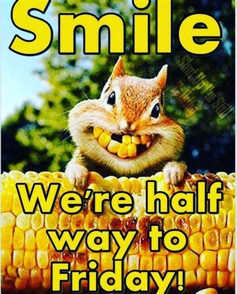 Wednesday Morning Meme Funny ~ buy sewing pattern ideas