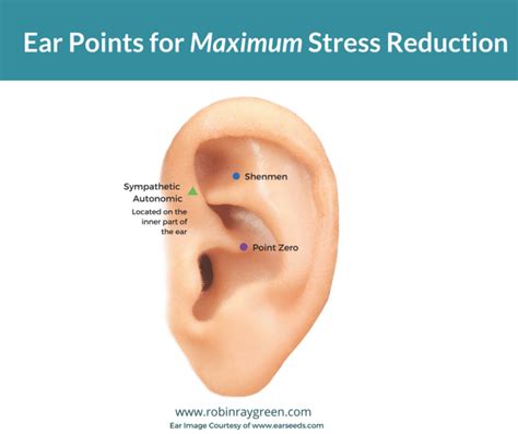 Excess cold > qi/blood stagnation in the channels and collaterals. Acupuncture Points for Depression and Anxiety | Hillary ...