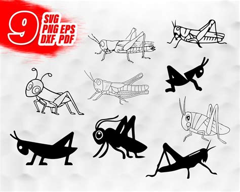 Grasshopper Svg File Bug Digital Insects Download Animals Silhouette
