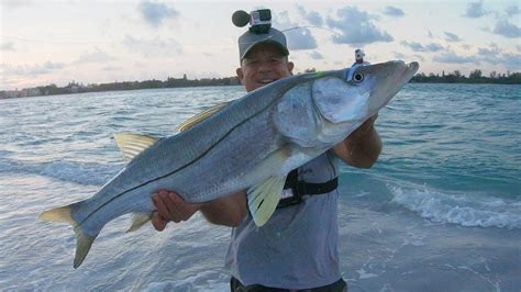 Maybe you would like to learn more about one of these? Catching HUGE Snook on The Beach With Jigs and Spooltek ...