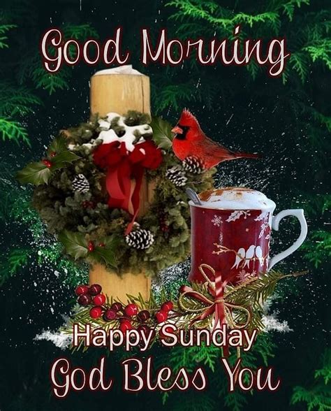 Good Morning Happy Sunday God Bless You Pictures Photos And Images