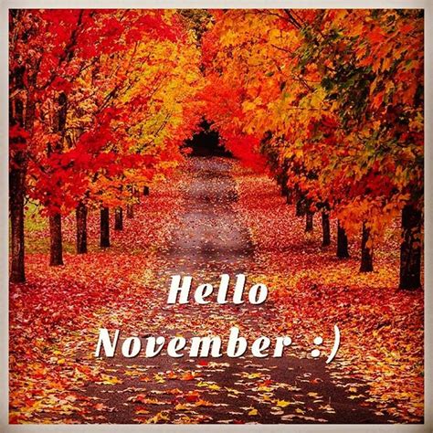Hello November Photos