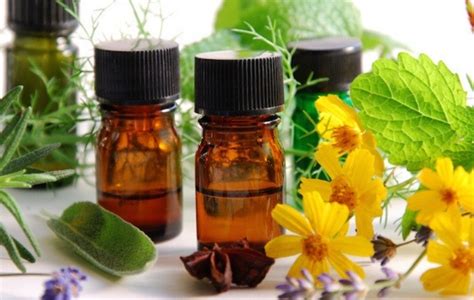 Acne, cuts, oily skin, wounds, muscular aches, rheumatism, arthritis, stiffness, depression, insomnia, nervous tension, stress. 5 Best Essential Oils For Dry Skin - PrettyBlooming