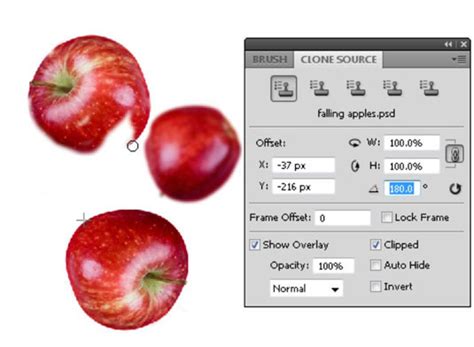 See full list on educba.com Use the Clone Stamp Tool in Photoshop CS5 - dummies