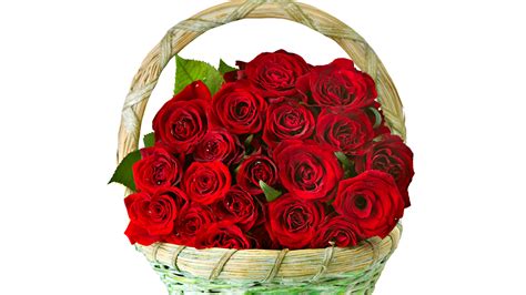 Bouquet Beautiful Red Roses Filled Basket For 8 March Wallpaper Hd