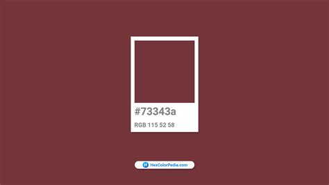 What Is The Color Of Aged Merlot Hexcolorpedia