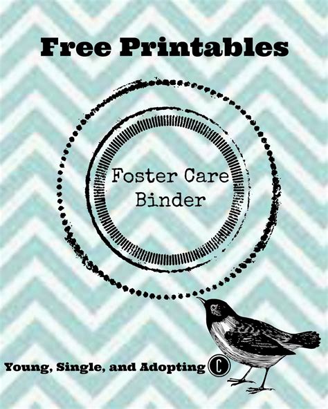 Young Single And Adopting Foster Care Binder