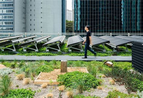 Green Roof Improves Solar Panel Efficiency By 36 On Average Pv