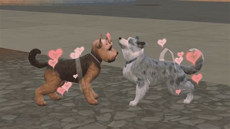 List Of Sims 4 Breeding Mod References Eq2daily