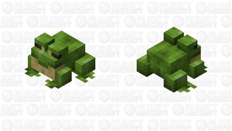 Frog Minecraft Mob Skin