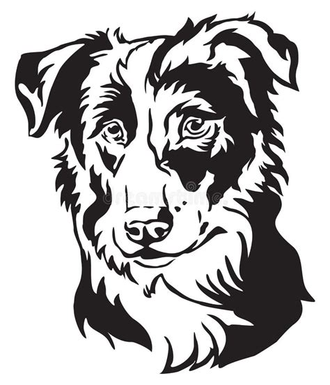 Decorative Portrait Of Dog Border Collie Vector Illustration Stock