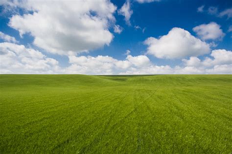 Imagen De Un Campo Verde Junto Con Un Cielo Azul Con Nubes Imágenes