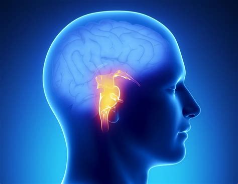 Brain Stem Stroke Symptoms Recovery And Outlook